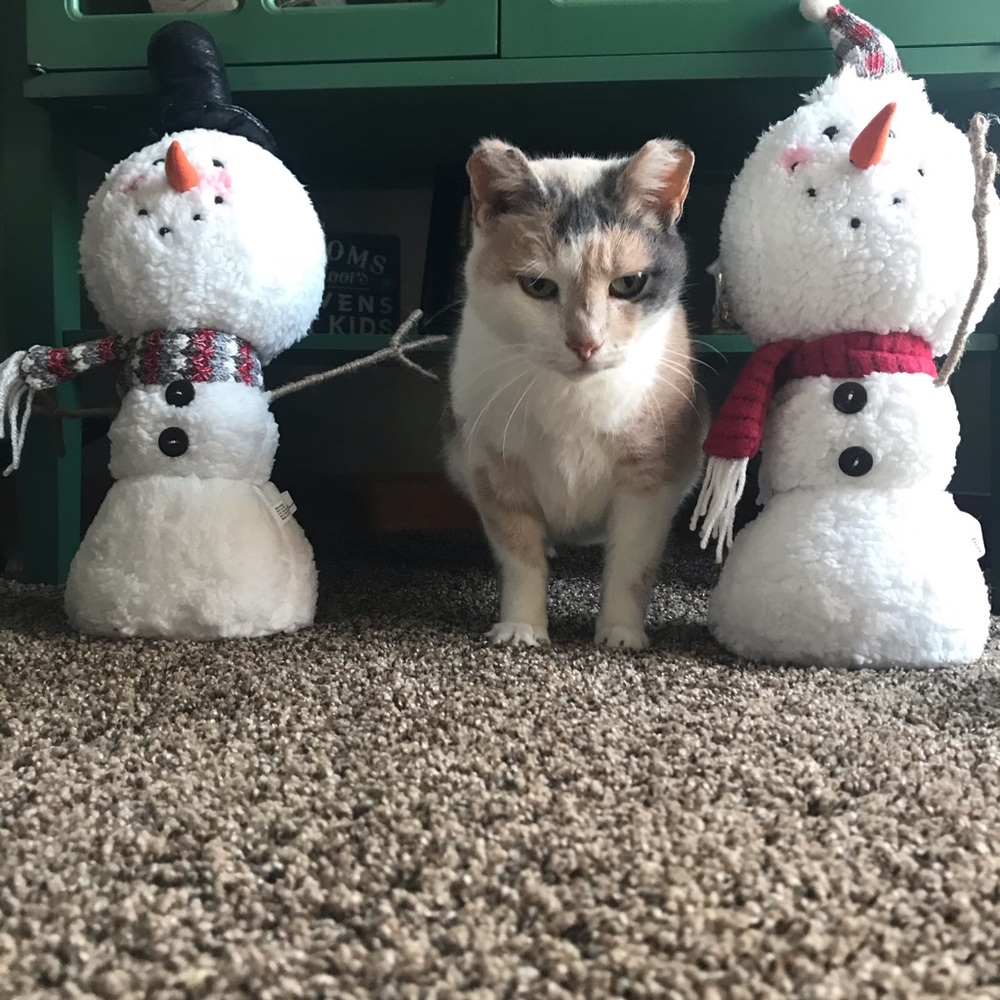 Meet your Posher, Kayla